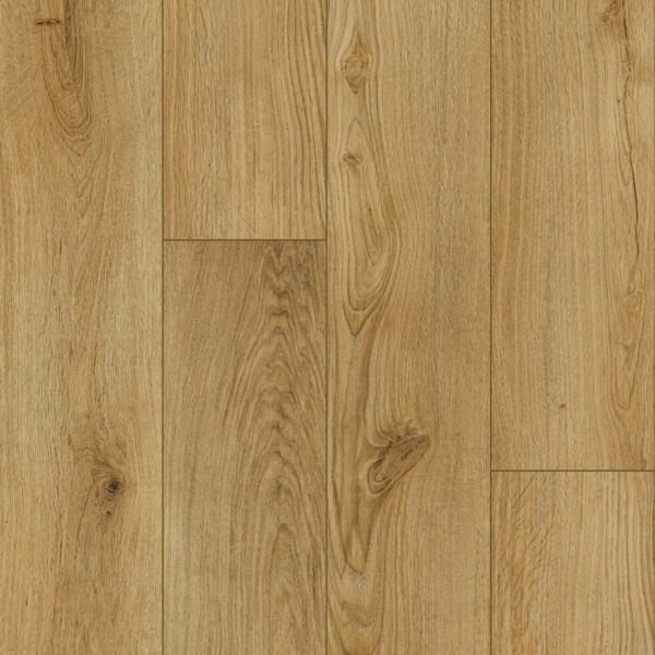 Keystone Plank