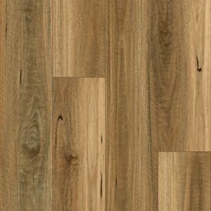 Keystone Plank - Image 17