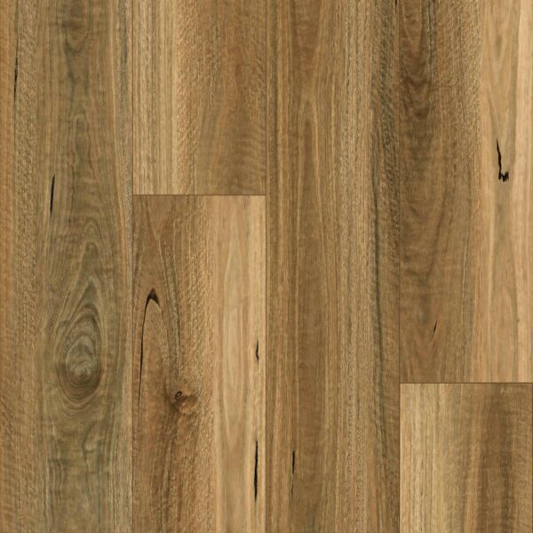 Keystone Plank