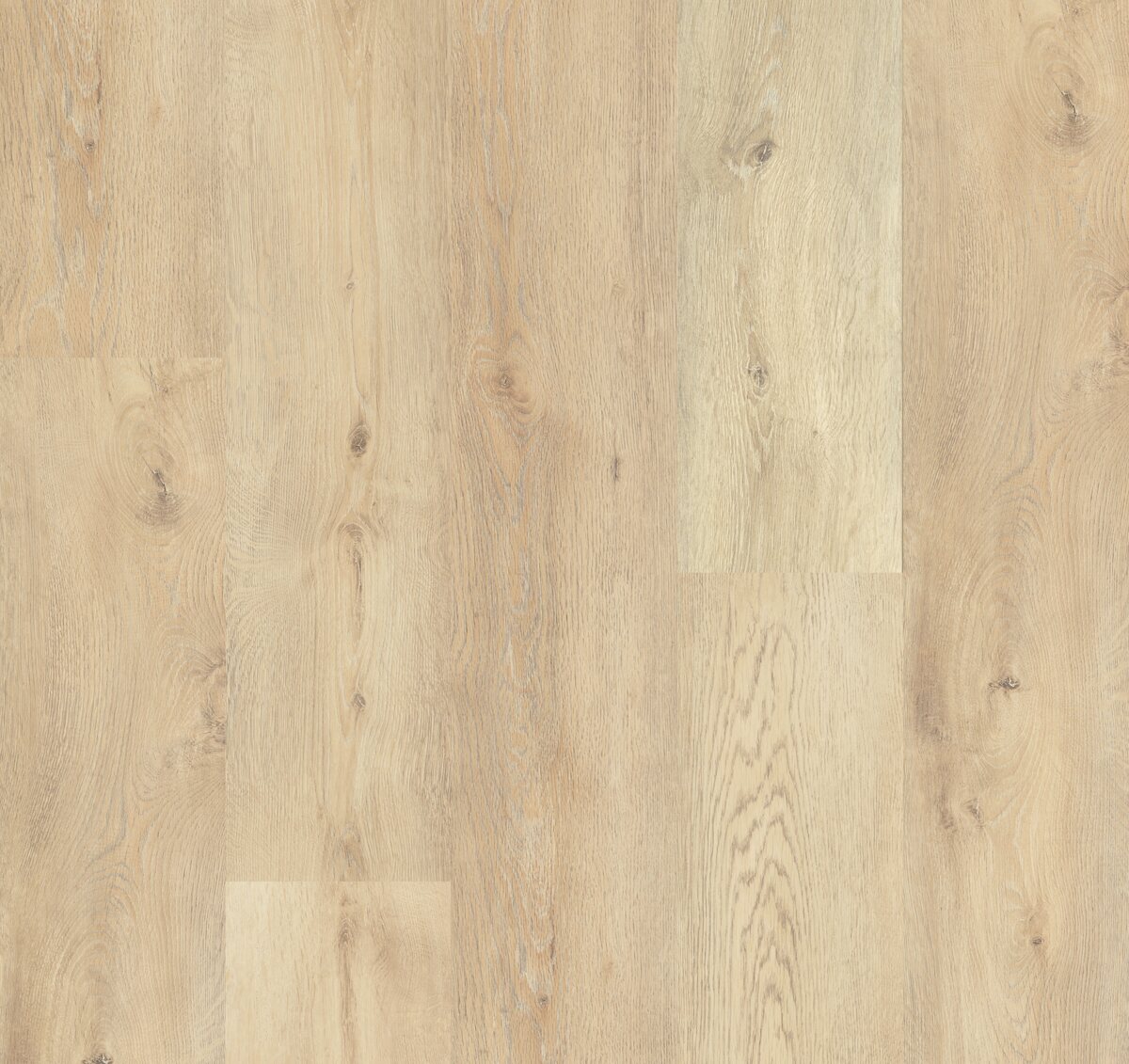Life Protect - Image 2