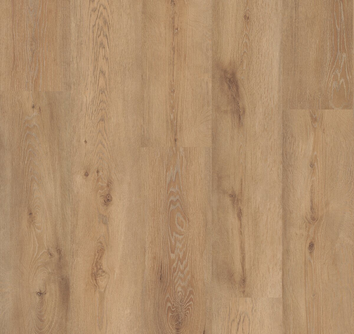 Life Protect - Image 3