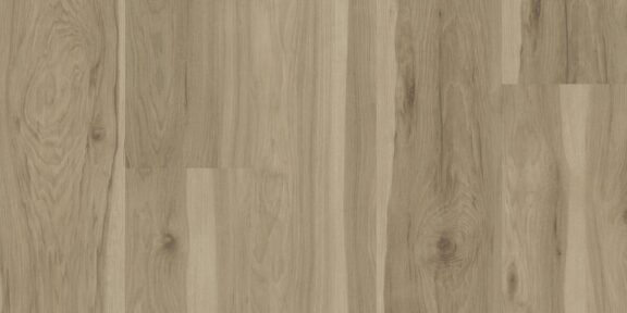 Life Protect – Hickory Blanca