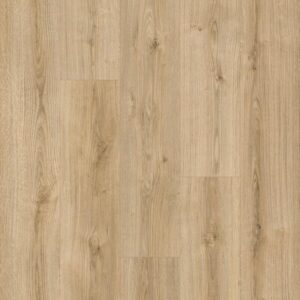 FloorGANIC - Image 3