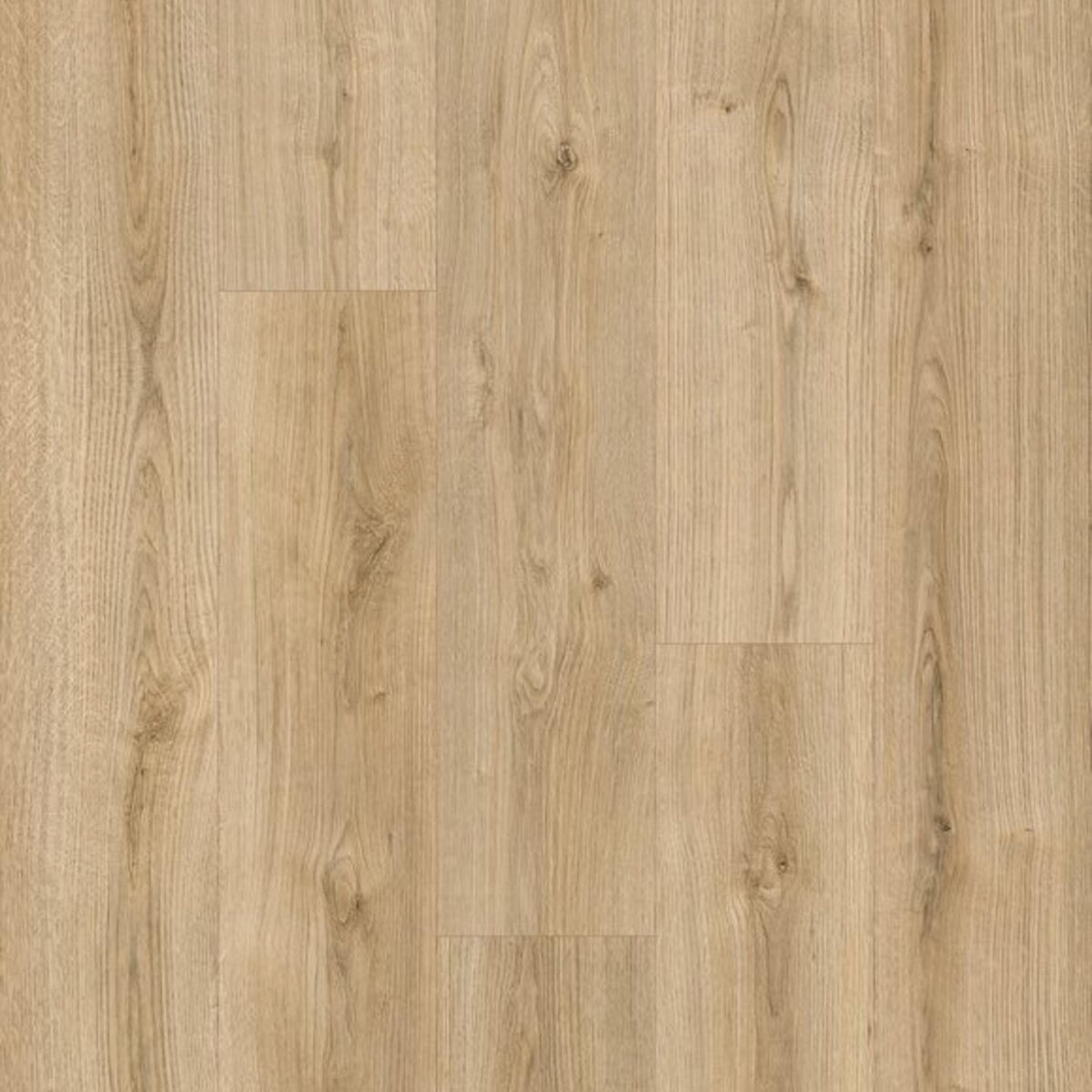 FloorGANIC - Image 3