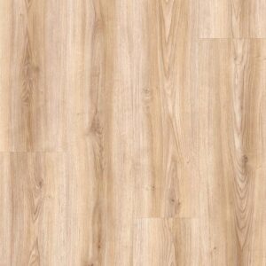 FloorGANIC - Image 4