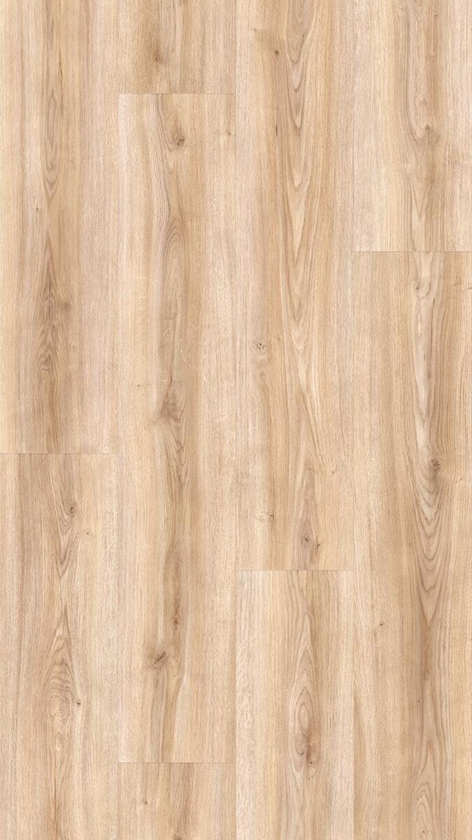 FloorGANIC - Image 4