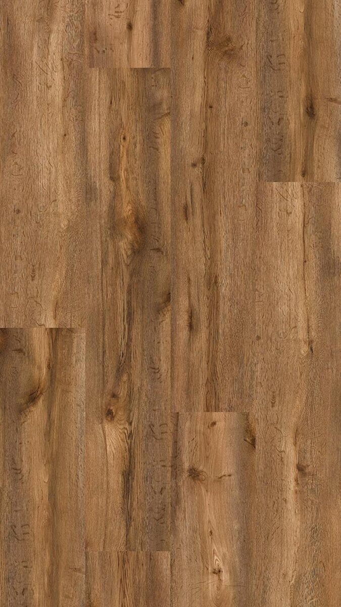 FloorGANIC - Image 7