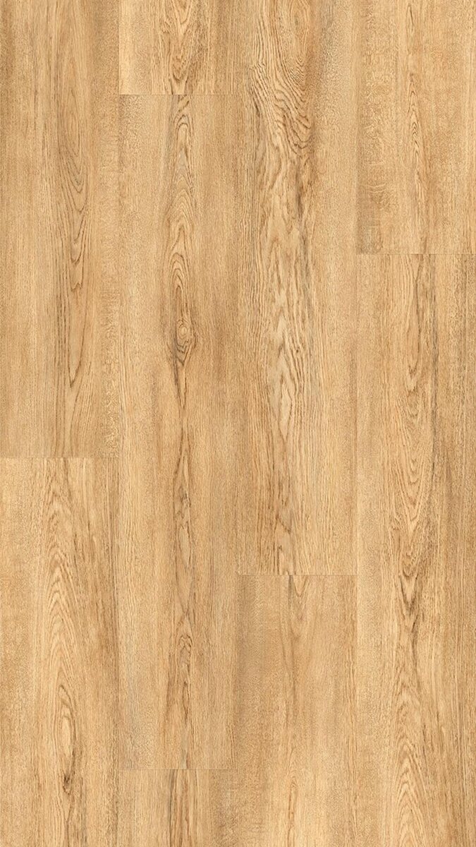 FloorGANIC - Image 6