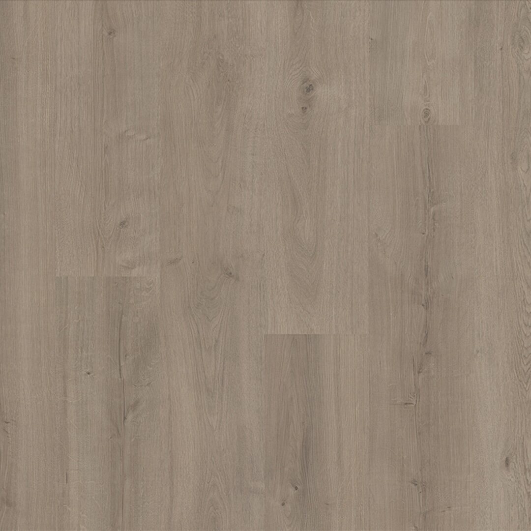 Sequoia - Image 2