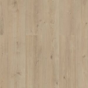Sequoia - Image 4