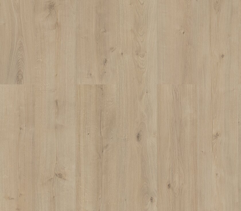 Sequoia - Image 4