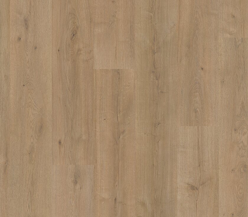 Sequoia - Image 5