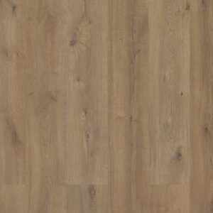 Sequoia - Image 6
