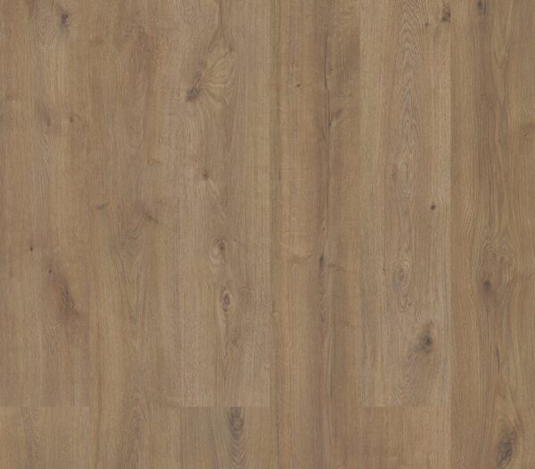 Sequoia