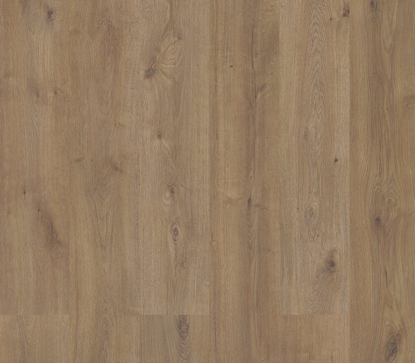 Sequoia - Image 6