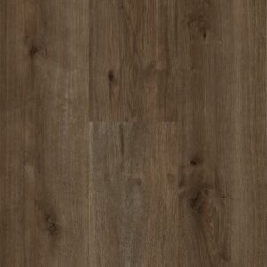 Sequoia - Image 7