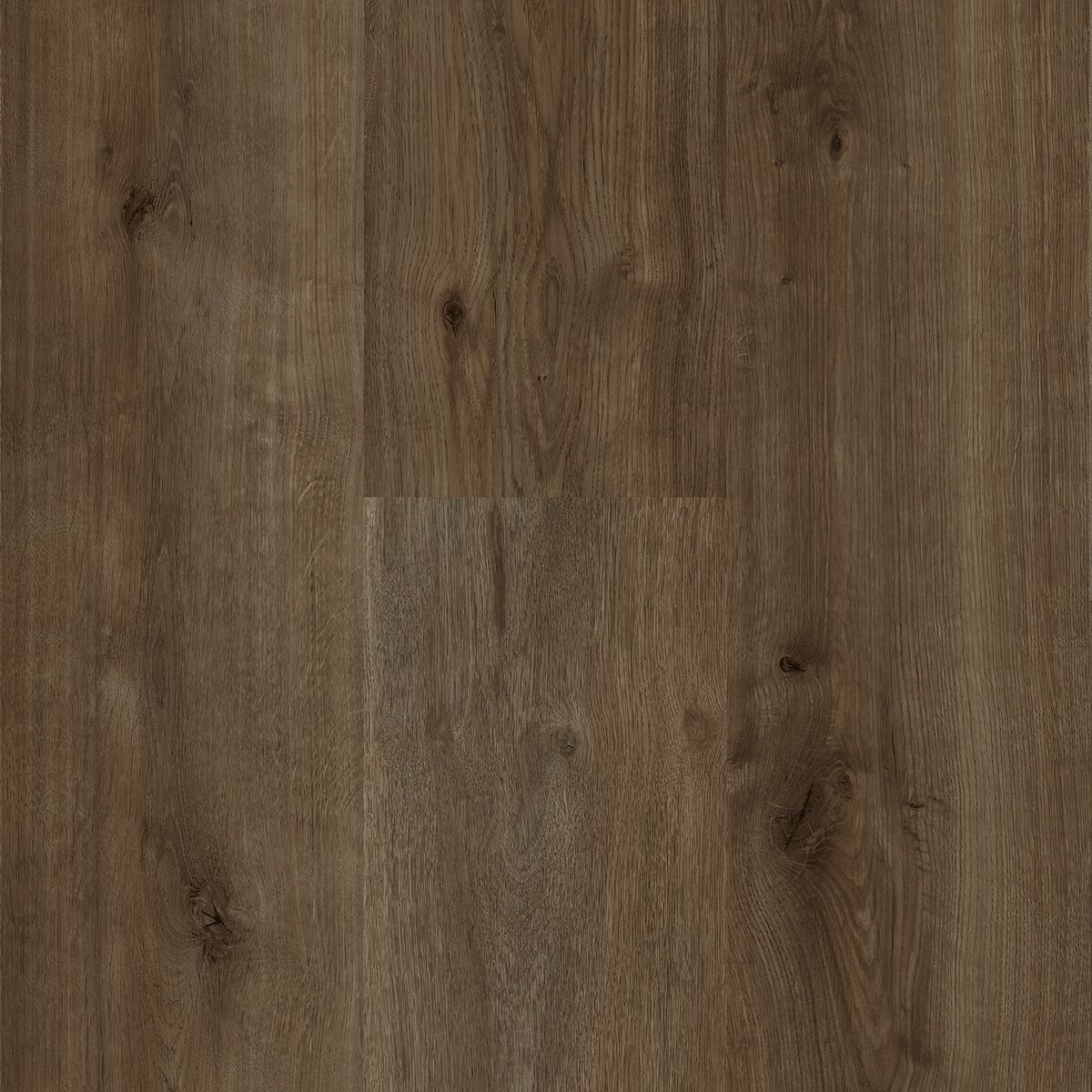 Sequoia - Image 7
