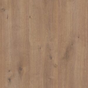 Sequoia - Image 8