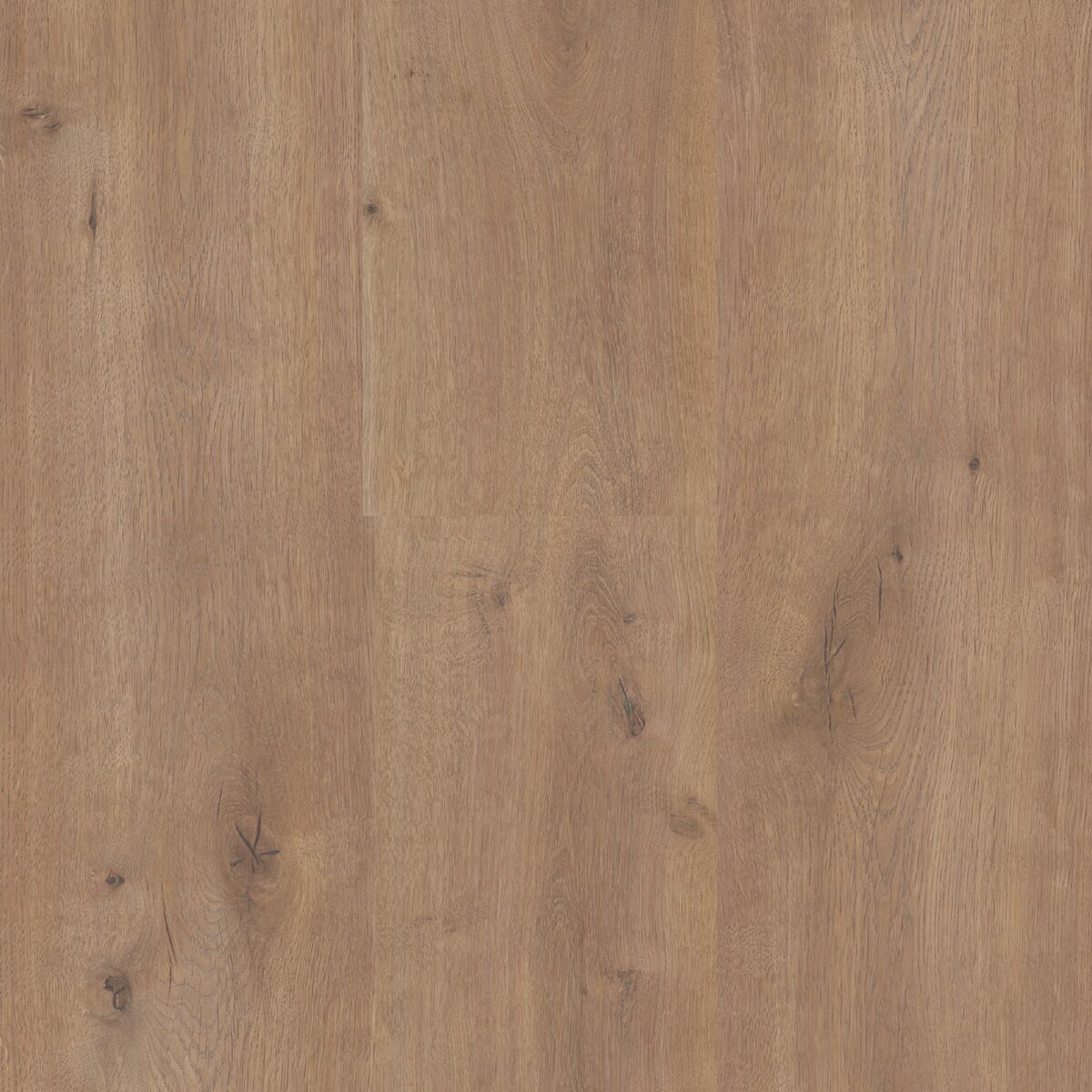 Sequoia - Image 8