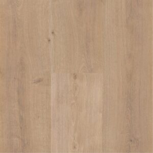 Sequoia - Image 9