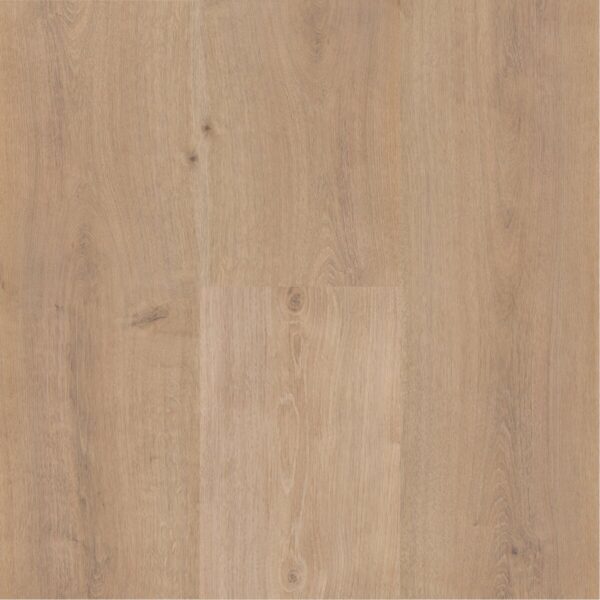 Sequoia