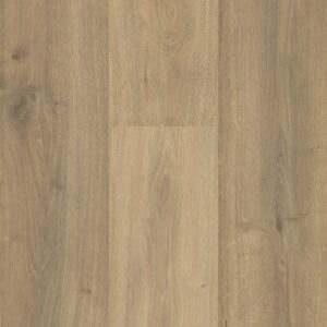 Sequoia - Image 10