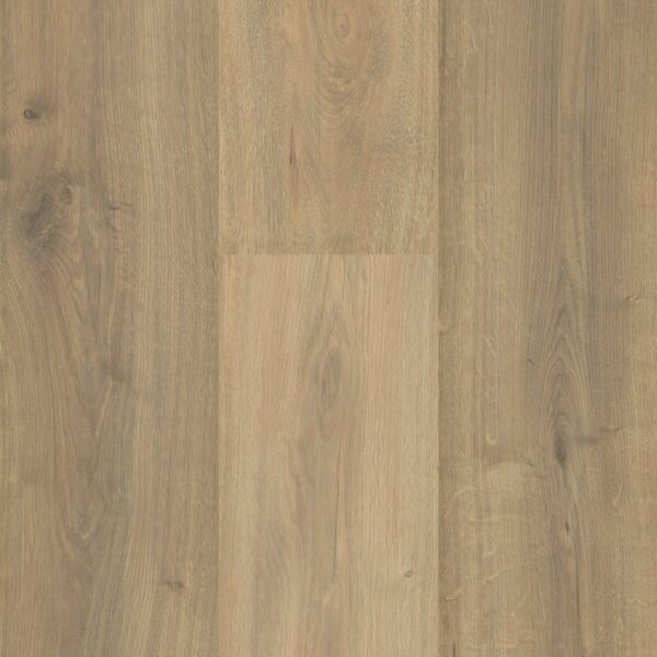 Sequoia