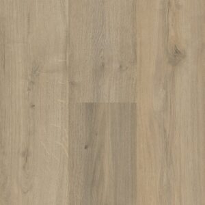 Sequoia - Image 11
