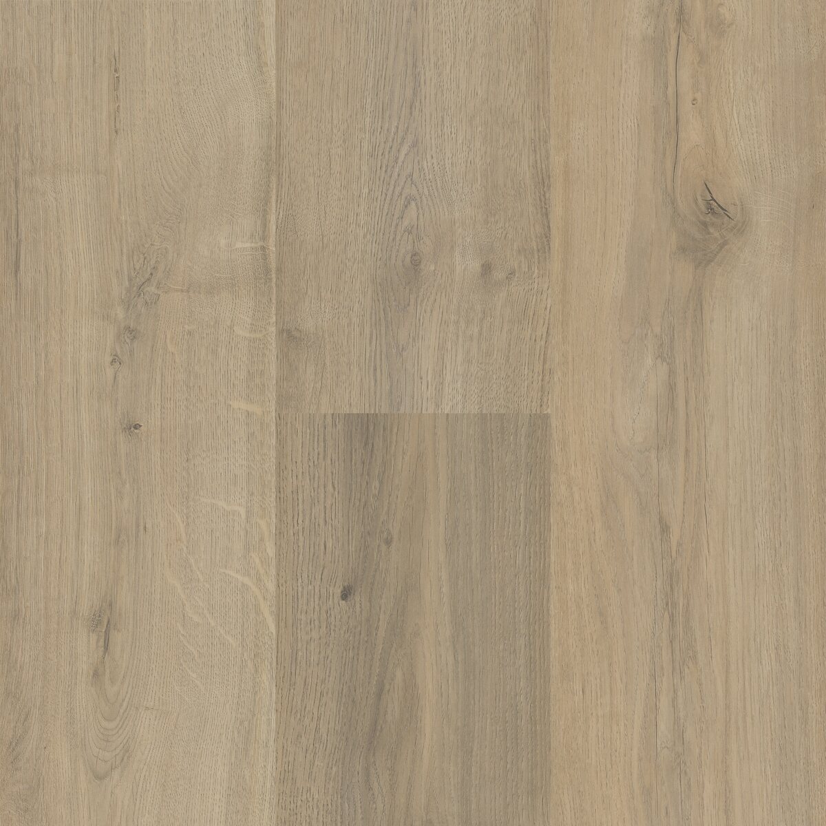 Sequoia - Image 11