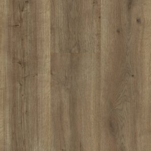 Sequoia - Image 12