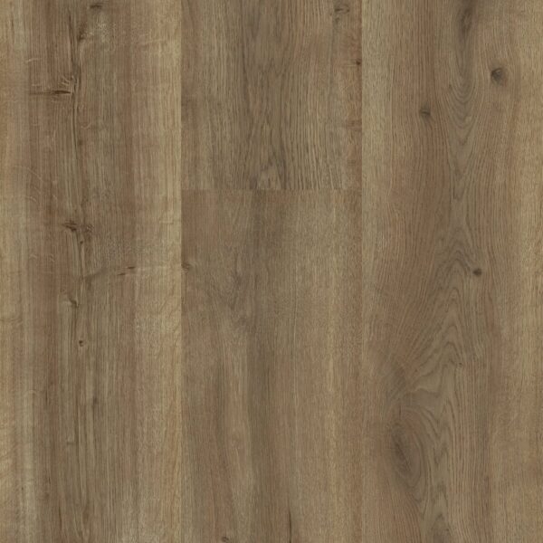 Sequoia