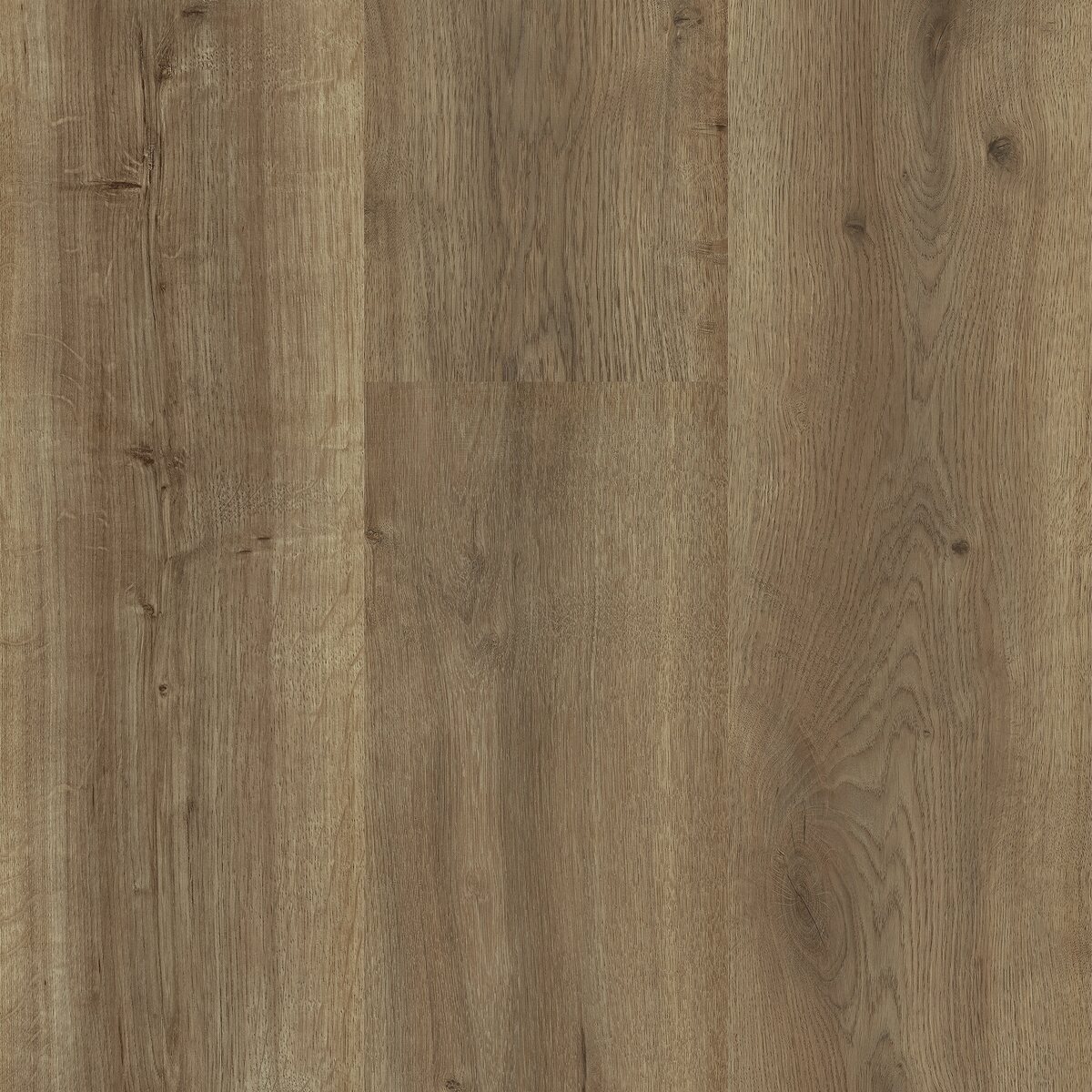 Sequoia - Image 12