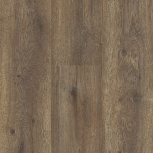 Sequoia