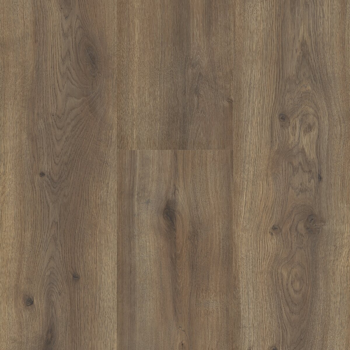 Sequoia - Image 13