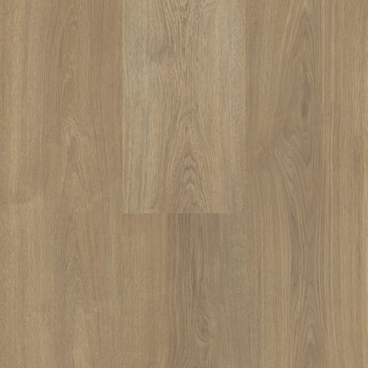 Sequoia - Image 14