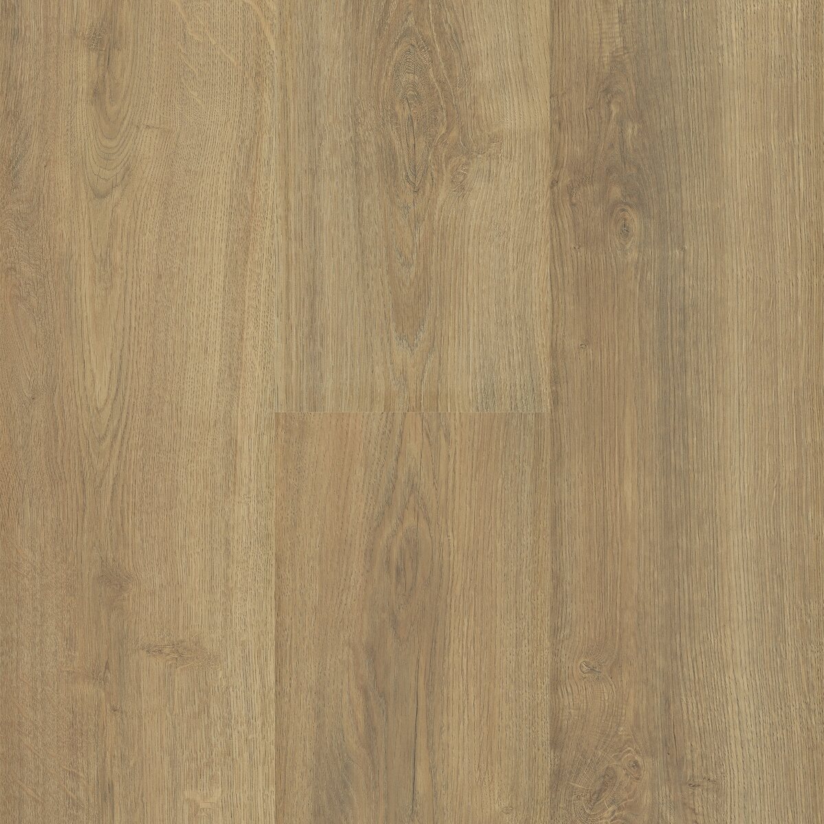 Sequoia - Image 15