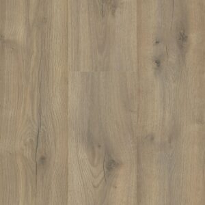 Sequoia - Image 16