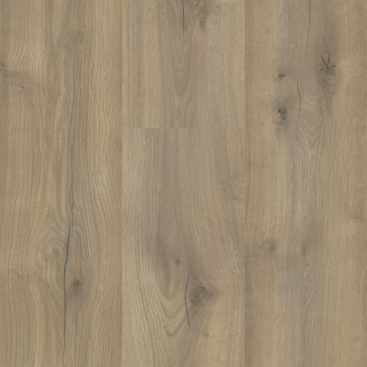 Sequoia - Image 16
