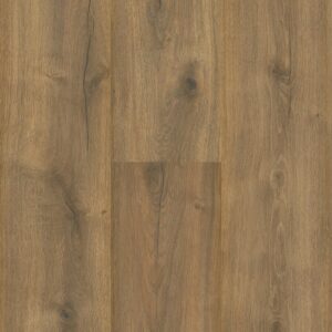 Sequoia - Image 17