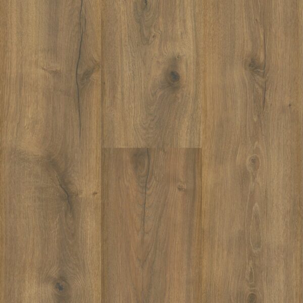 Sequoia
