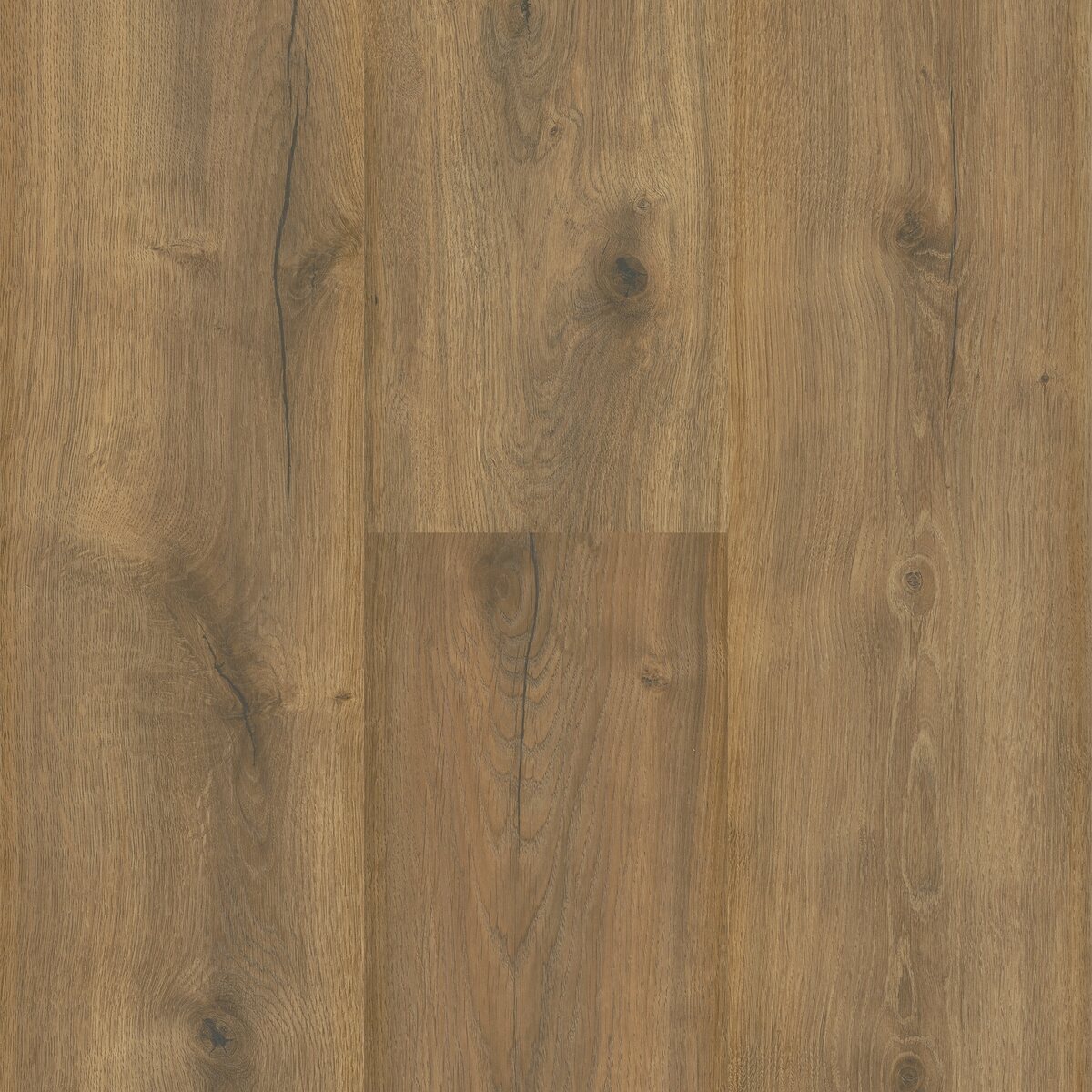 Sequoia - Image 17