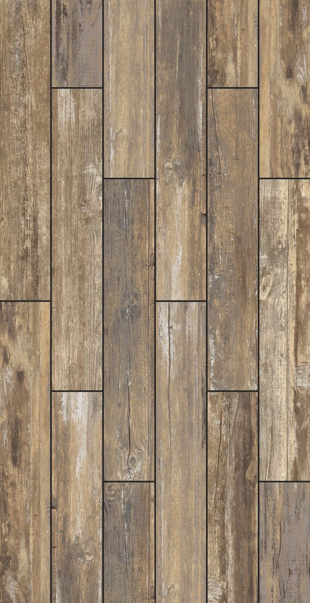 Boardwalk - Image 4