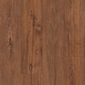 Keystone Plank - Image 5