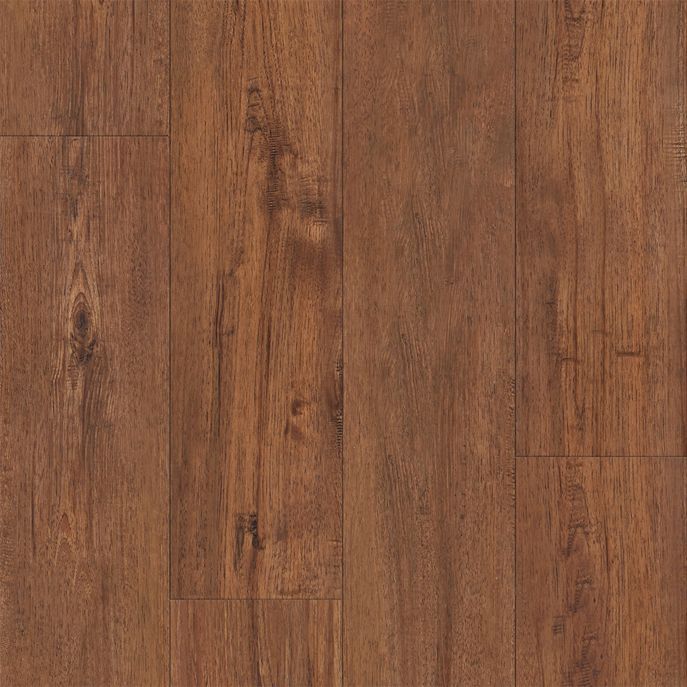 Keystone Plank - Image 5
