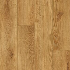 Keystone Plank - Image 15