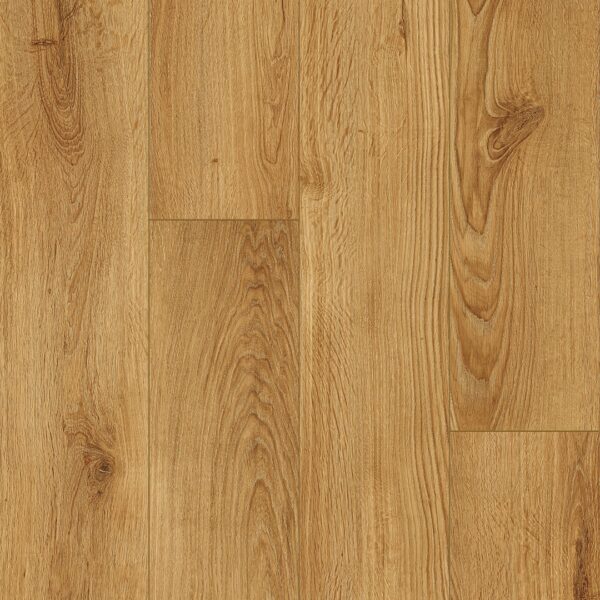Keystone Plank