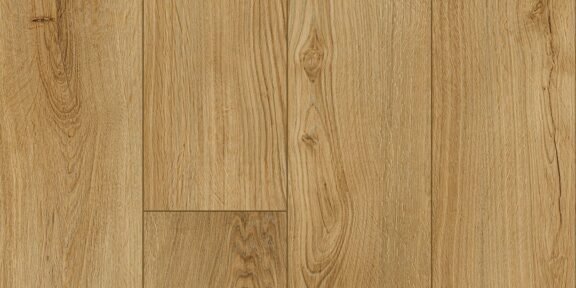 Signature – Congaree