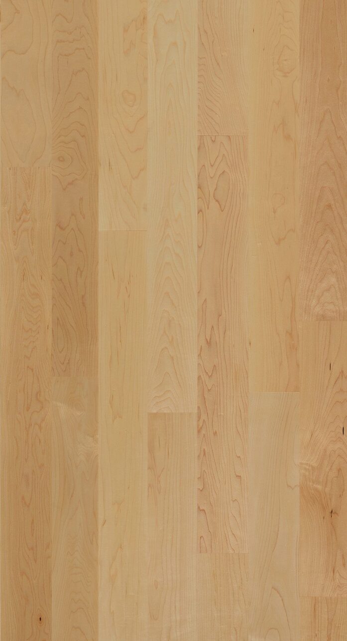 Northern Select - Image 3