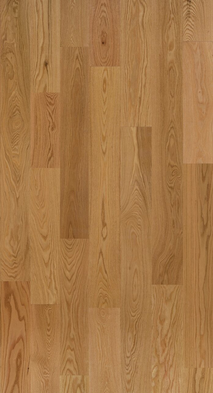 Northern Select - Image 2