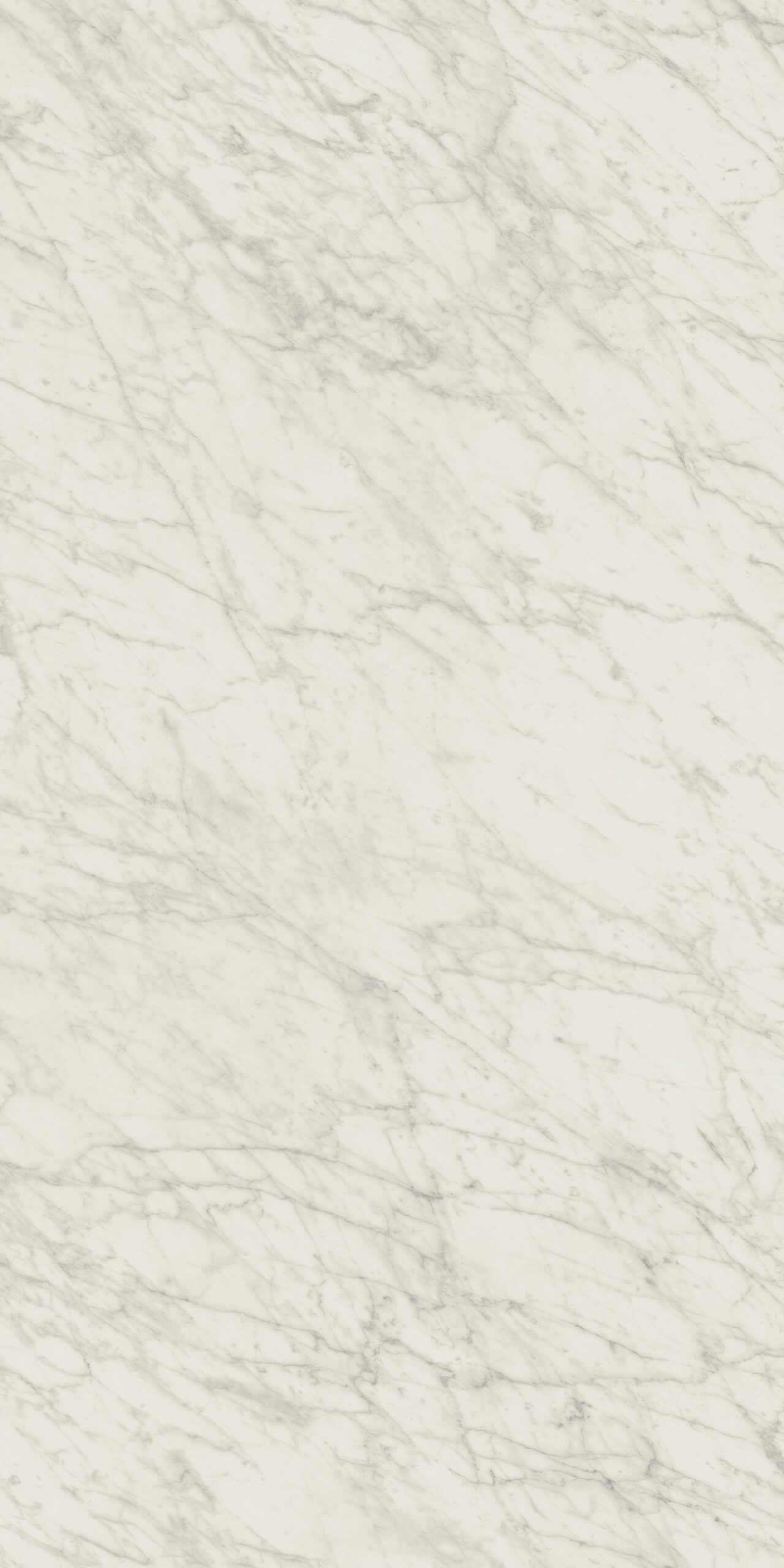 Bianco Reserve - Image 2